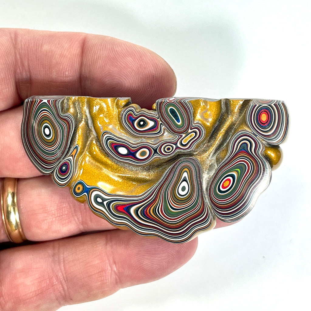 DVH Michigan Goldilocks Fordite Specimen I/2 Donut Buck Hole Polished Face (6843)