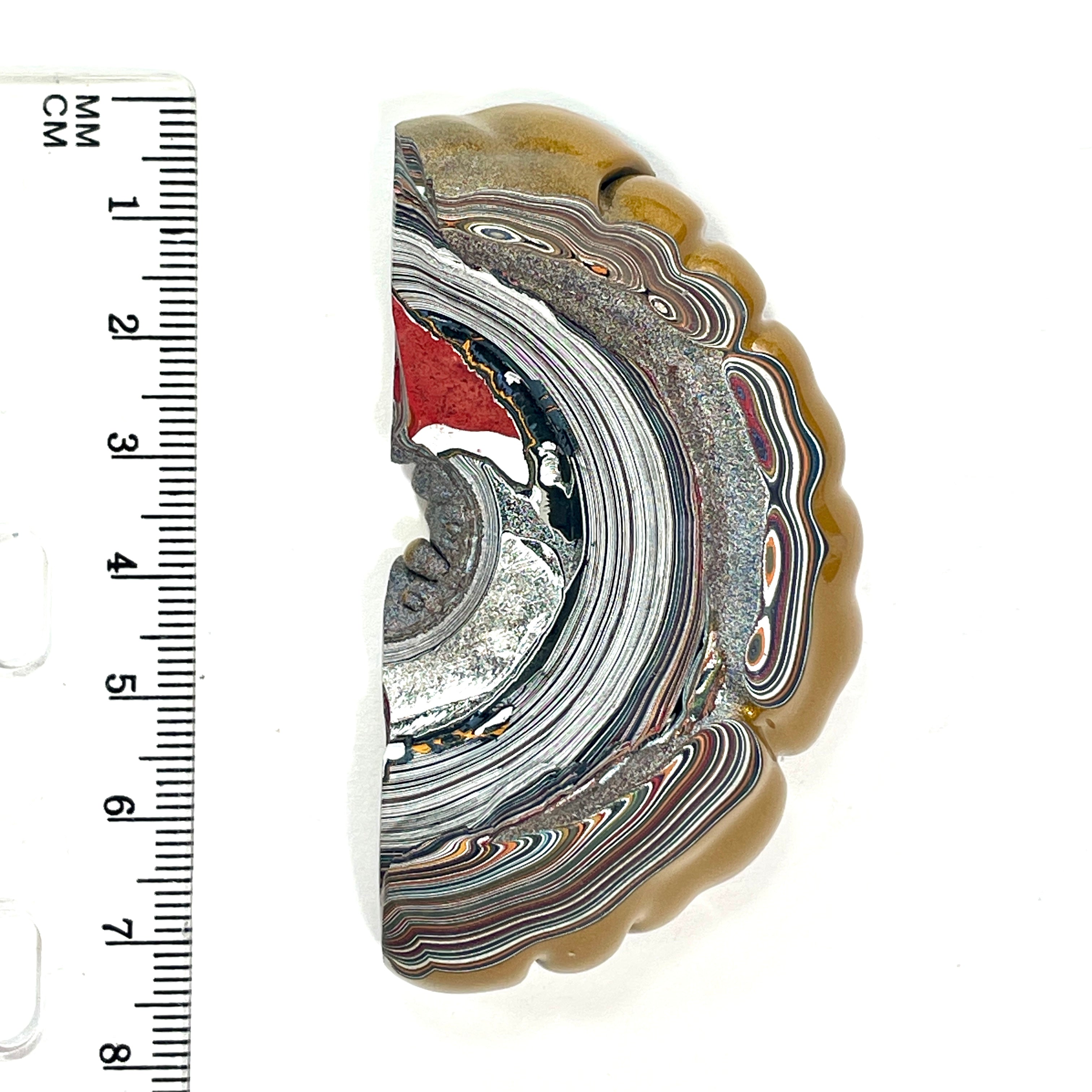 DVH Michigan Goldilocks Fordite Specimen I/2 Donut Buck Hole Polished Face (6843)
