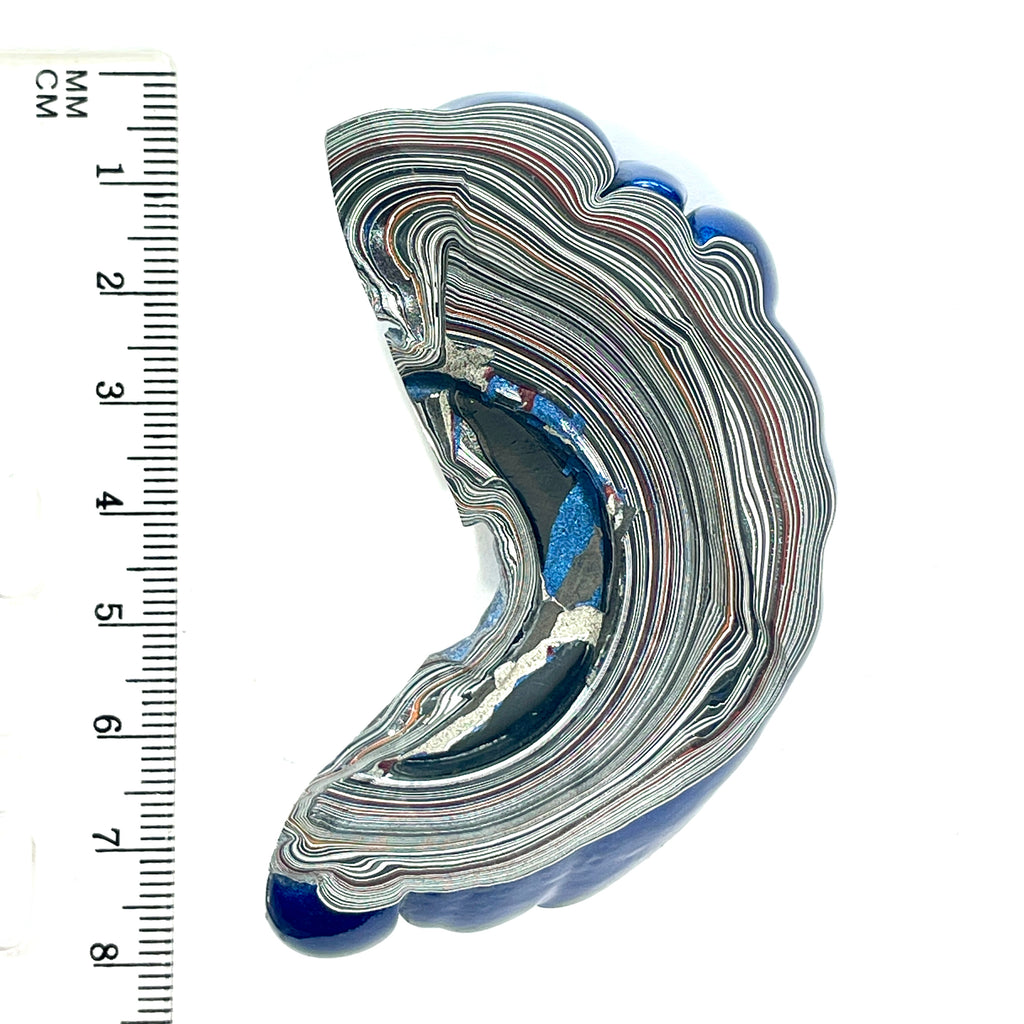 DVH Michigan Blue Fordite Specimen I/2 Donut Buck Hole Polished Face (6844)