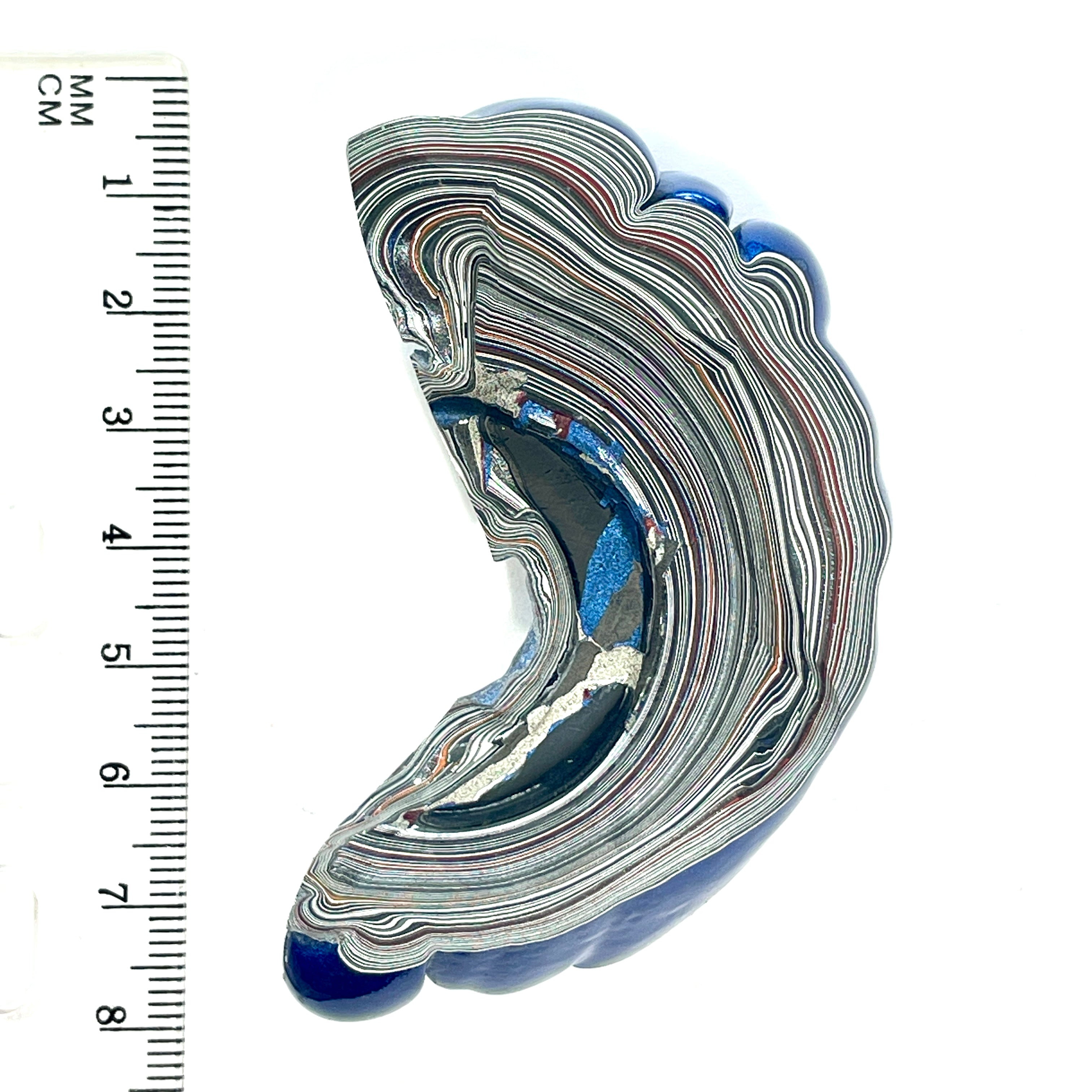 DVH Michigan Blue Fordite Specimen I/2 Donut Buck Hole Polished Face (6844)