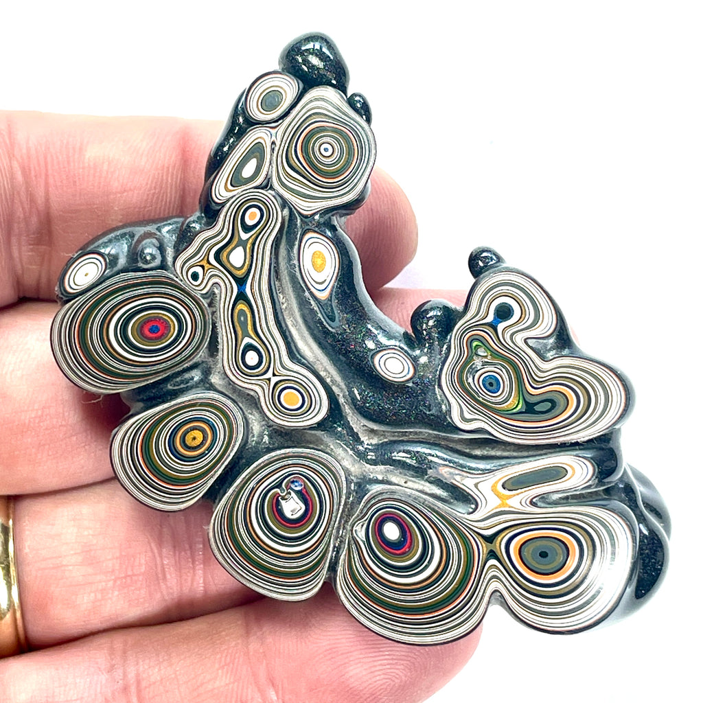 DVH Mich Fordite Specimen I/2 Donut Buck Hole Polished Face Chv Frd Jp (6846)
