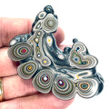 DVH Mich Fordite Specimen I/2 Donut Buck Hole Polished Face Chv Frd Jp (6846)