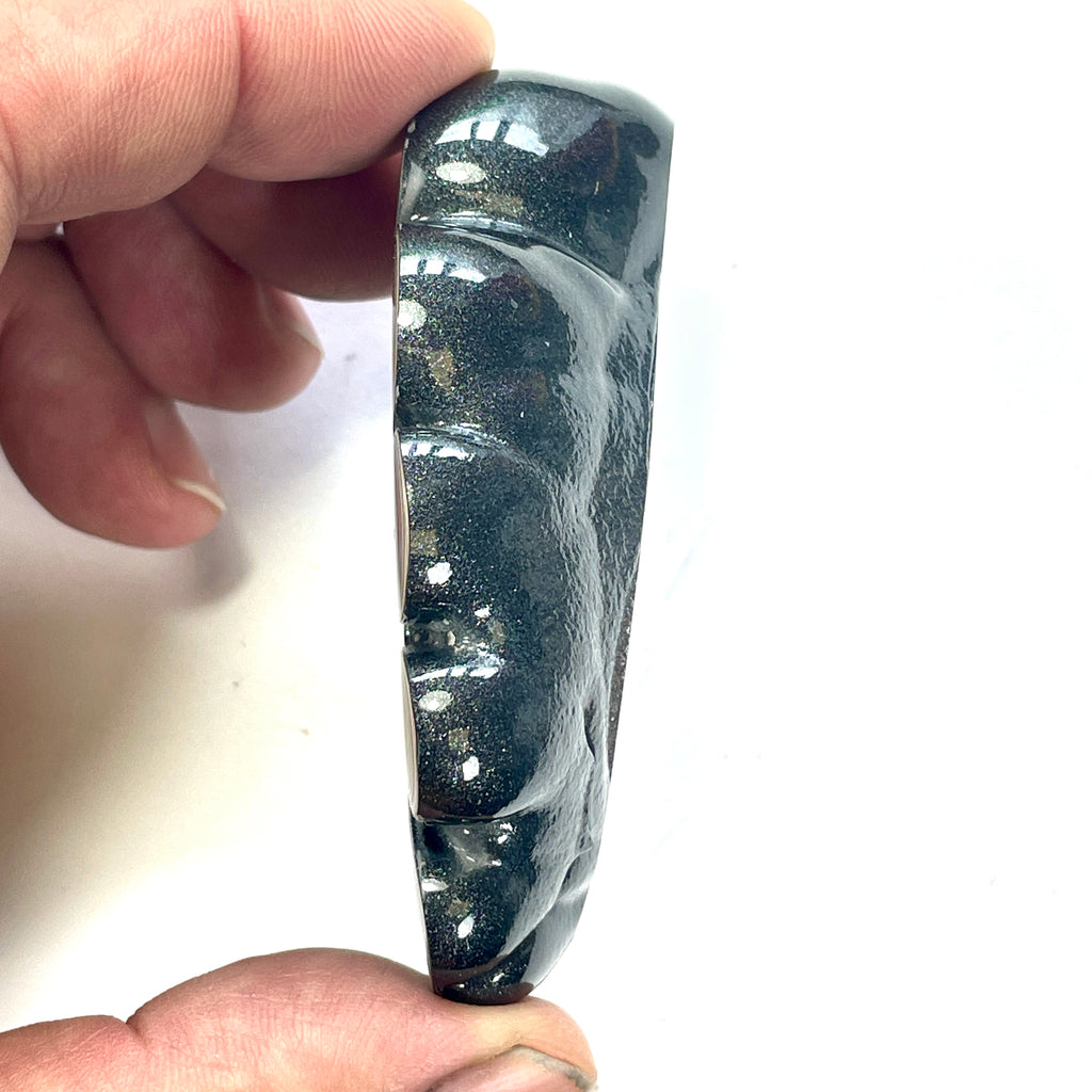 DVH Mich Fordite Specimen I/2 Donut Buck Hole Polished Face Chv Frd Jp (6846)