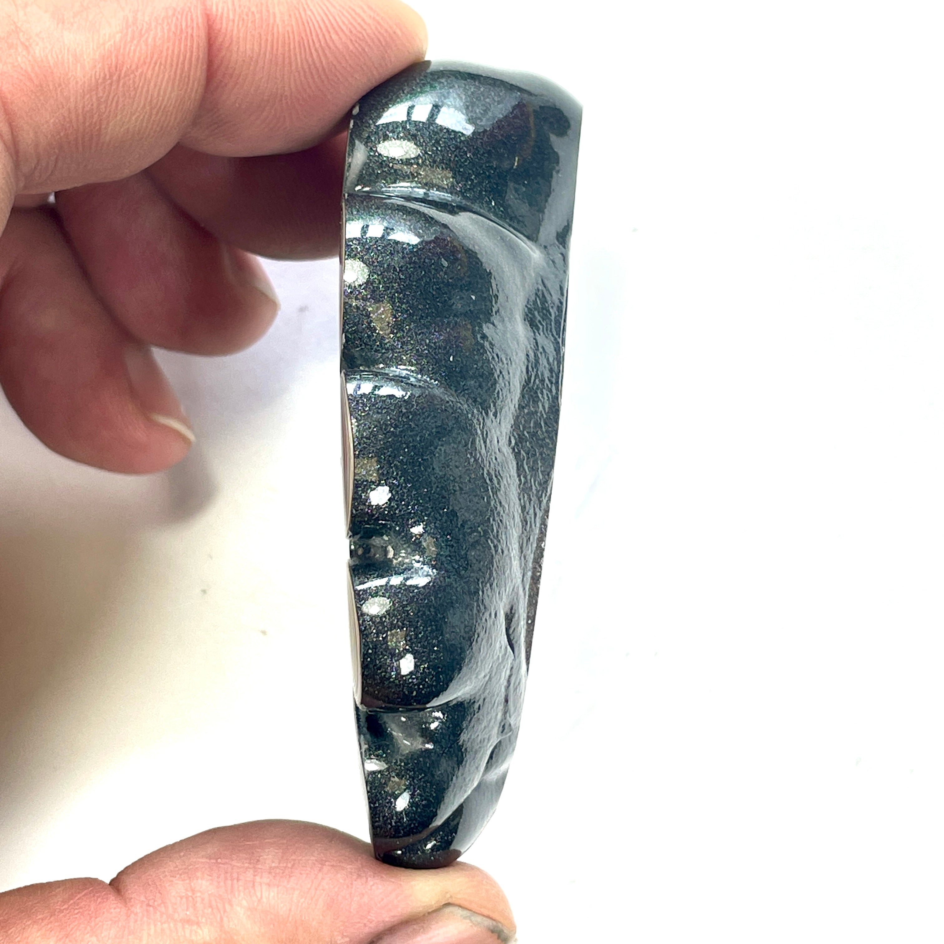 DVH Mich Fordite Specimen I/2 Donut Buck Hole Polished Face Chv Frd Jp (6846)