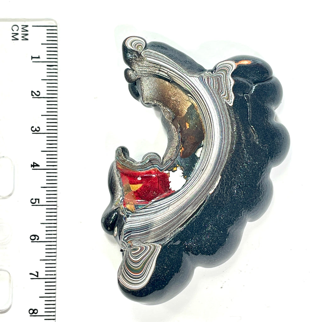 DVH Mich Fordite Specimen I/2 Donut Buck Hole Polished Face Chv Frd Jp (6846)