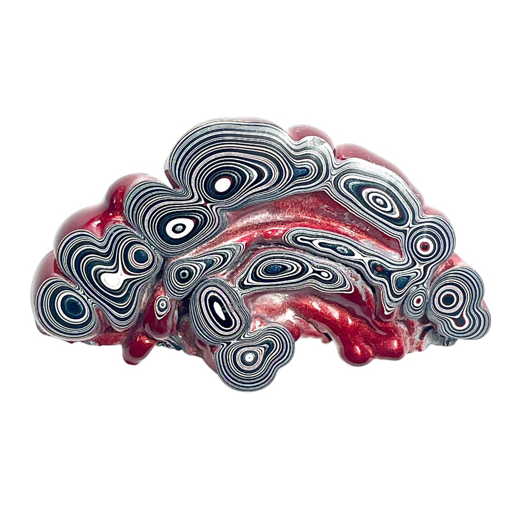 DVH Red Fordite Specimen Partial Donut Buck Hole Polished Face Chv Frd Jp (6847)