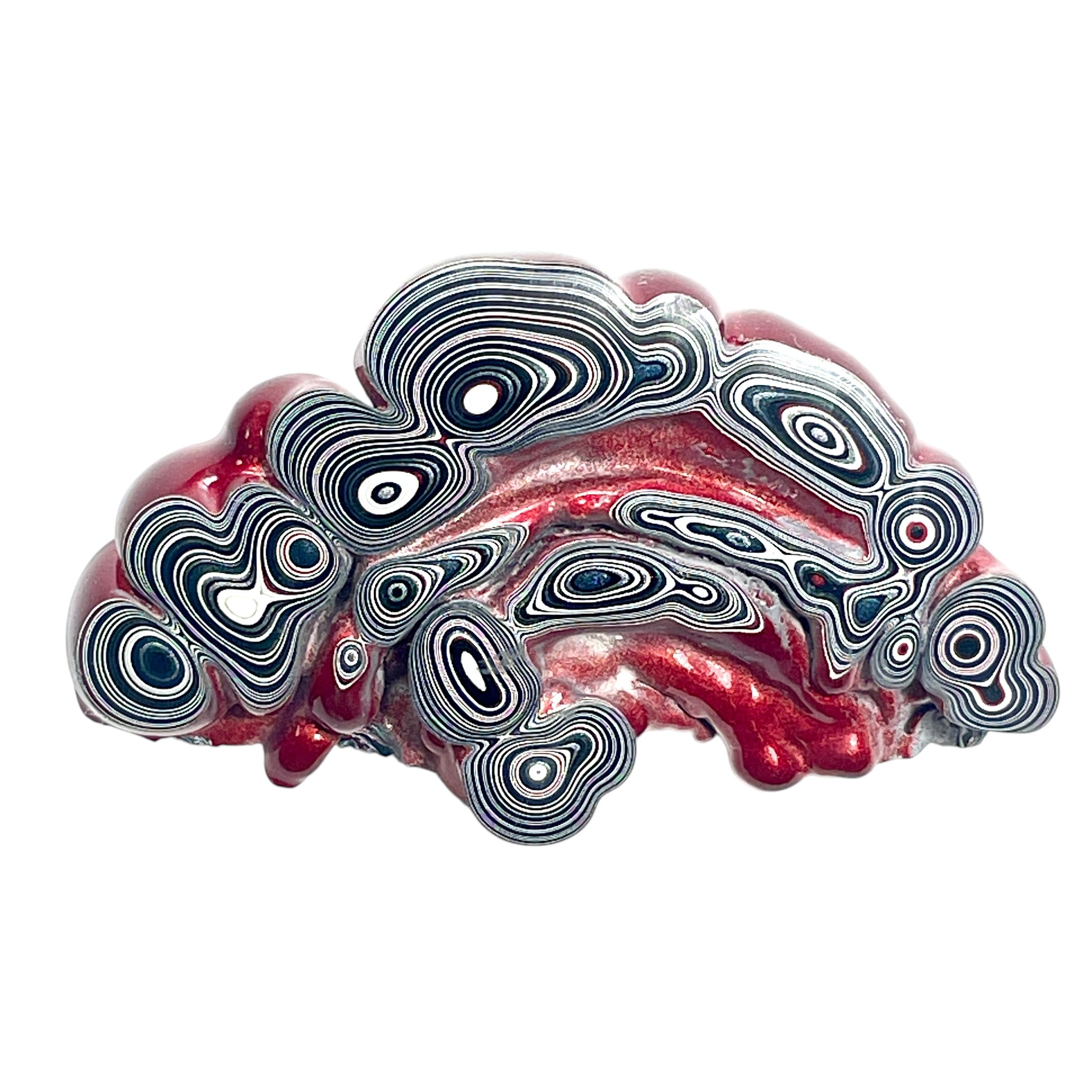 DVH Red Fordite Specimen Partial Donut Buck Hole Polished Face Chv Frd Jp (6847)