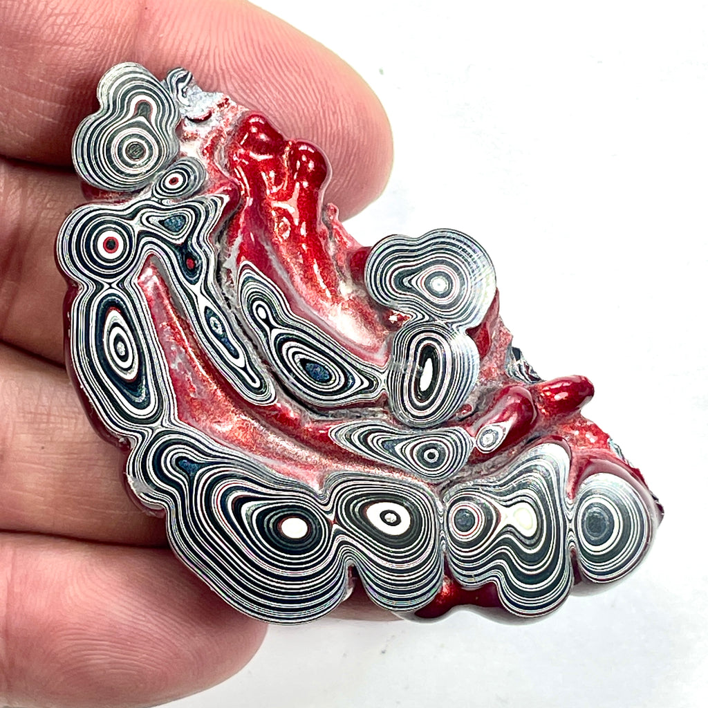 DVH Red Fordite Specimen Partial Donut Buck Hole Polished Face Chv Frd Jp (6847)