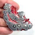 DVH Red Fordite Specimen Partial Donut Buck Hole Polished Face Chv Frd Jp (6847)