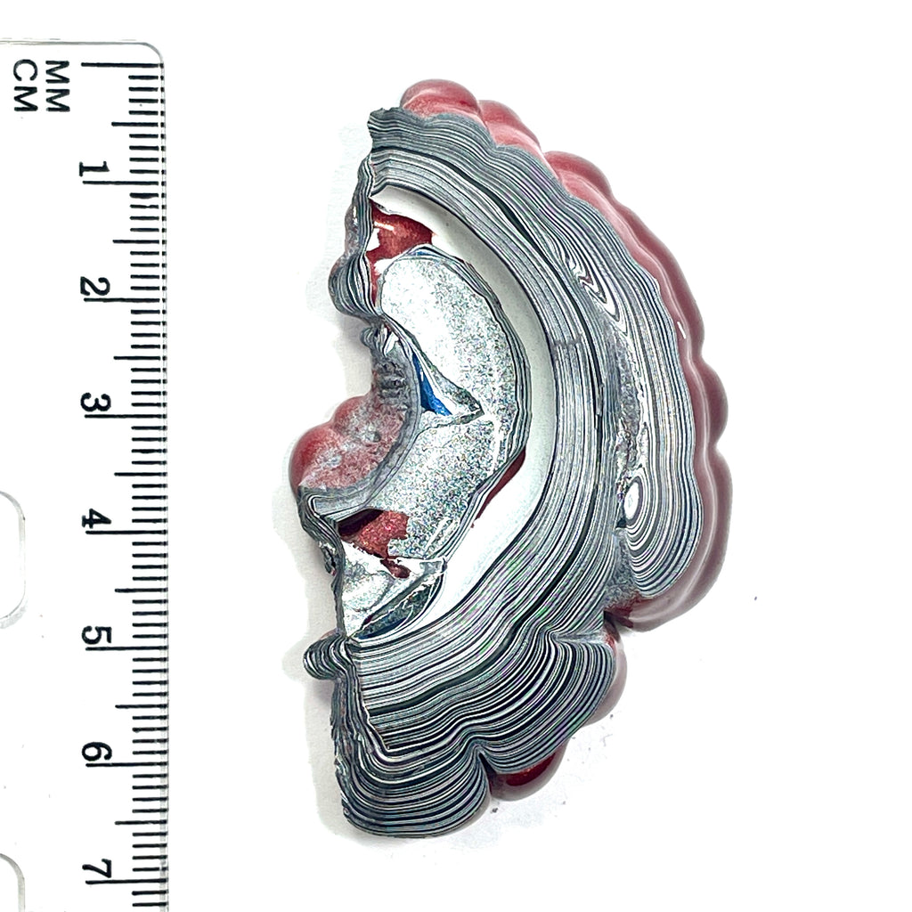 DVH Red Fordite Specimen Partial Donut Buck Hole Polished Face Chv Frd Jp (6847)