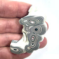 DVH Michigan Fordite Specimen Partial Donut Buck Hole Polished Face (6848)