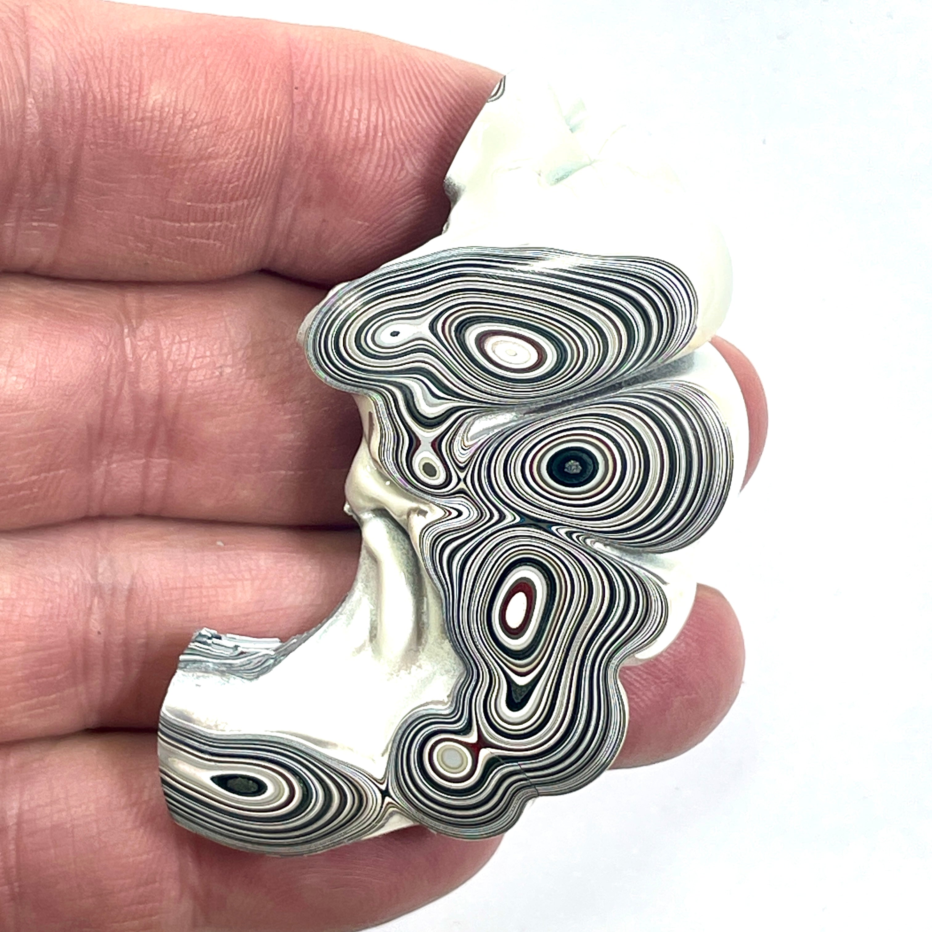DVH Michigan Fordite Specimen Partial Donut Buck Hole Polished Face (6848)