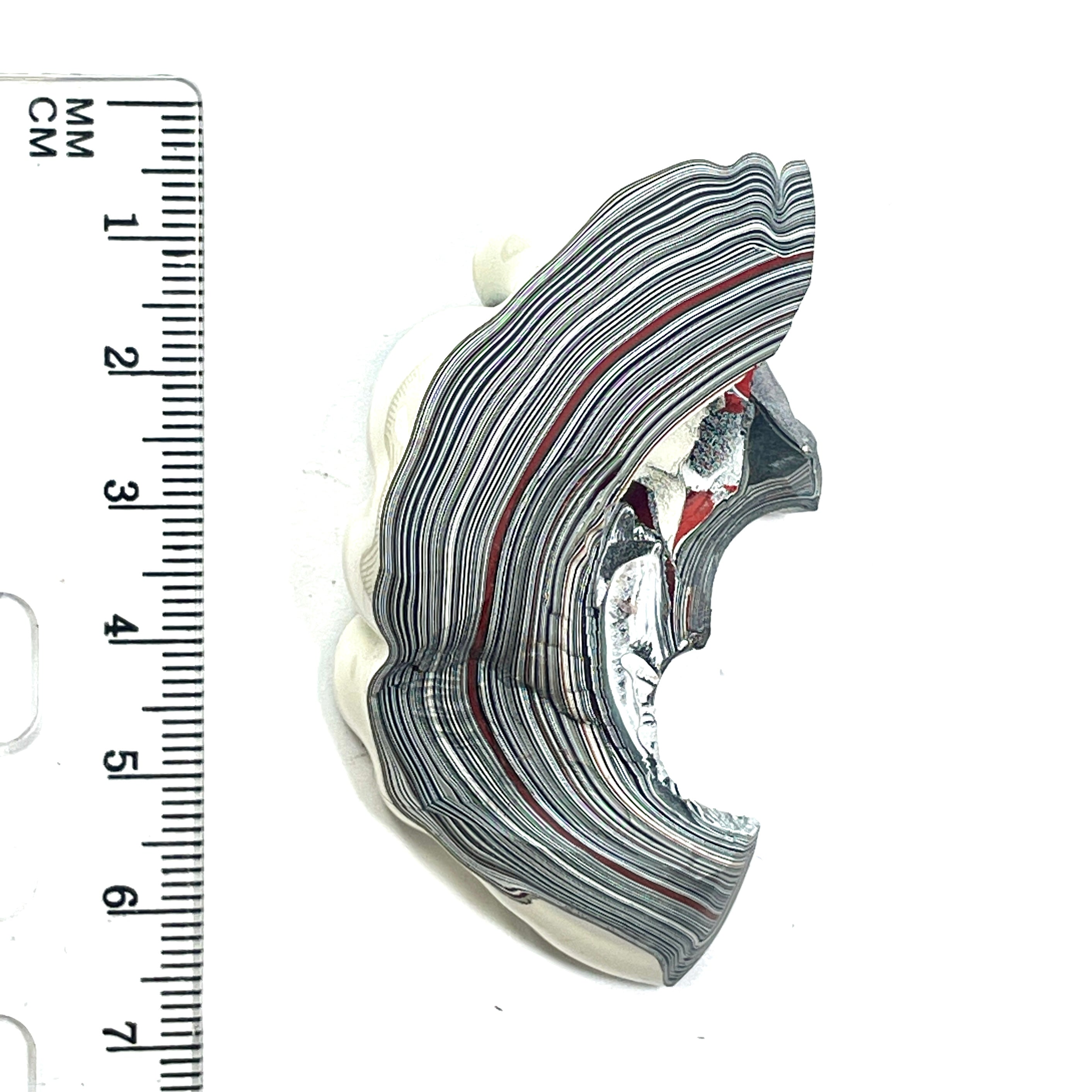 DVH Michigan Fordite Specimen Partial Donut Buck Hole Polished Face (6848)