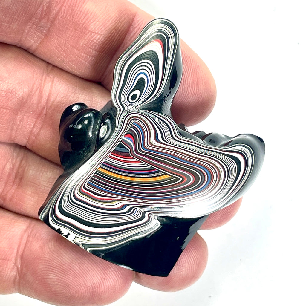 DVH Fordite Specimen Polished Face Michigan Chv Frd Jp (6849)