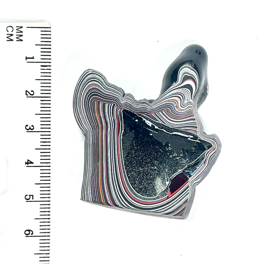 DVH Fordite Specimen Polished Face Michigan Chv Frd Jp (6849)