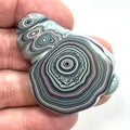 DVH Fordite Specimen Polished Face Michigan Chv Frd Jp (6850)