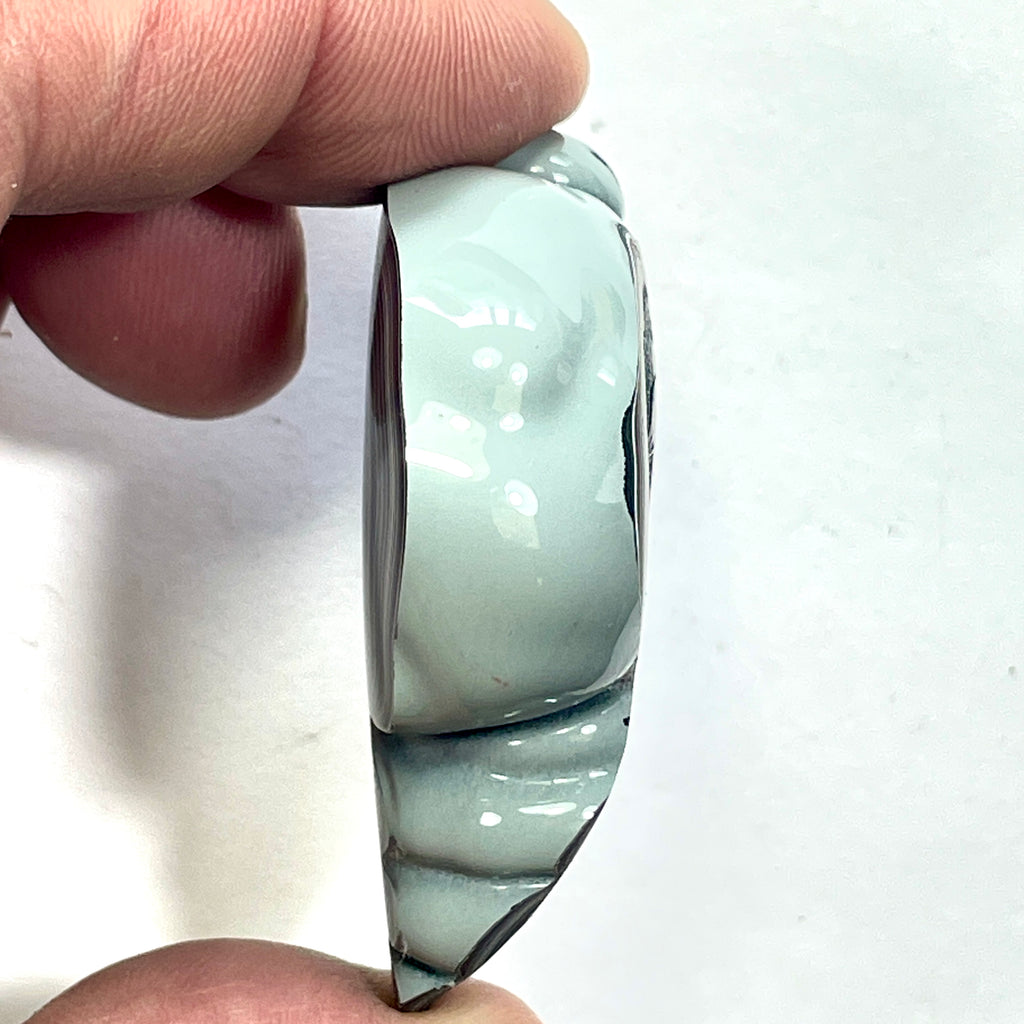 DVH Fordite Specimen Polished Face Michigan Chv Frd Jp (6850)