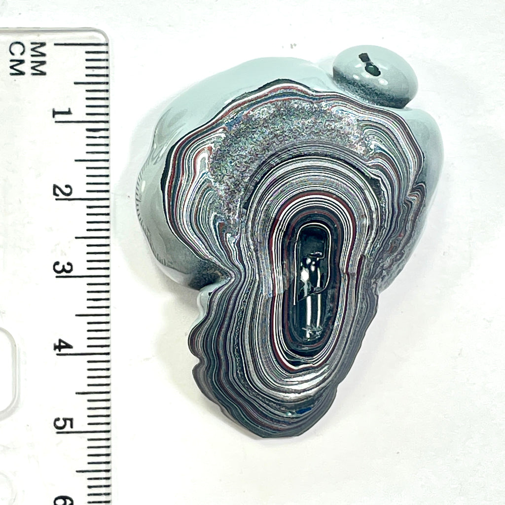 DVH Fordite Specimen Polished Face Michigan Chv Frd Jp (6850)