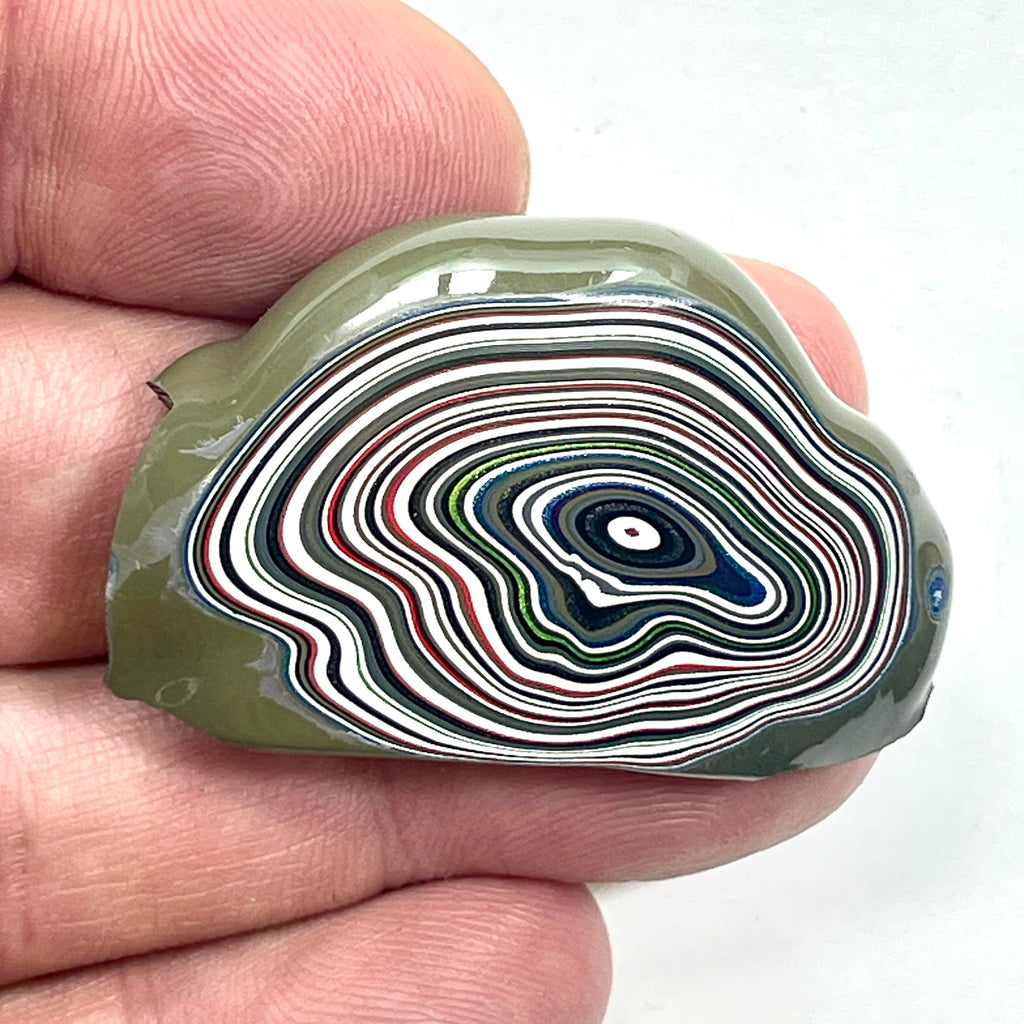 DVH Fordite Specimen Polished Face Michigan Chv Frd Jp (6851)