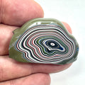 DVH Fordite Specimen Polished Face Michigan Chv Frd Jp (6851)