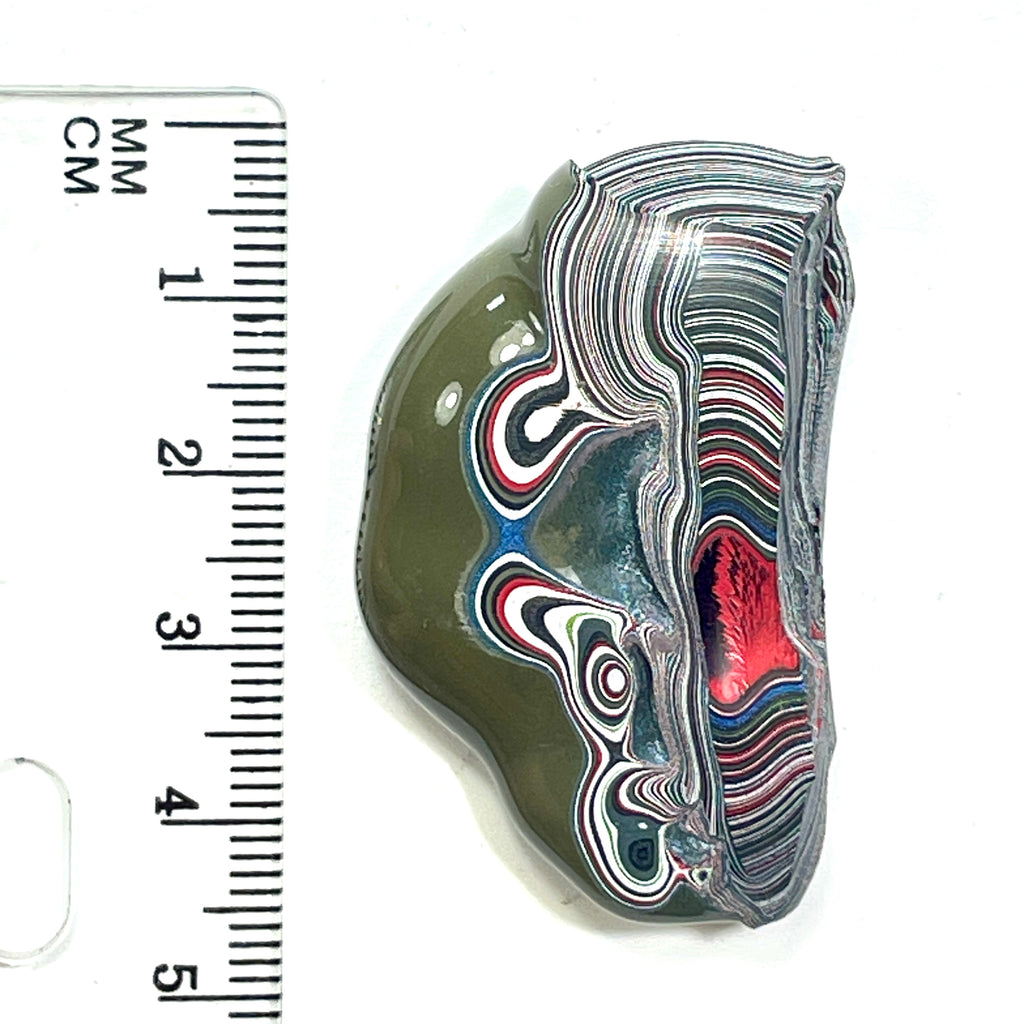 DVH Fordite Specimen Polished Face Michigan Chv Frd Jp (6851)