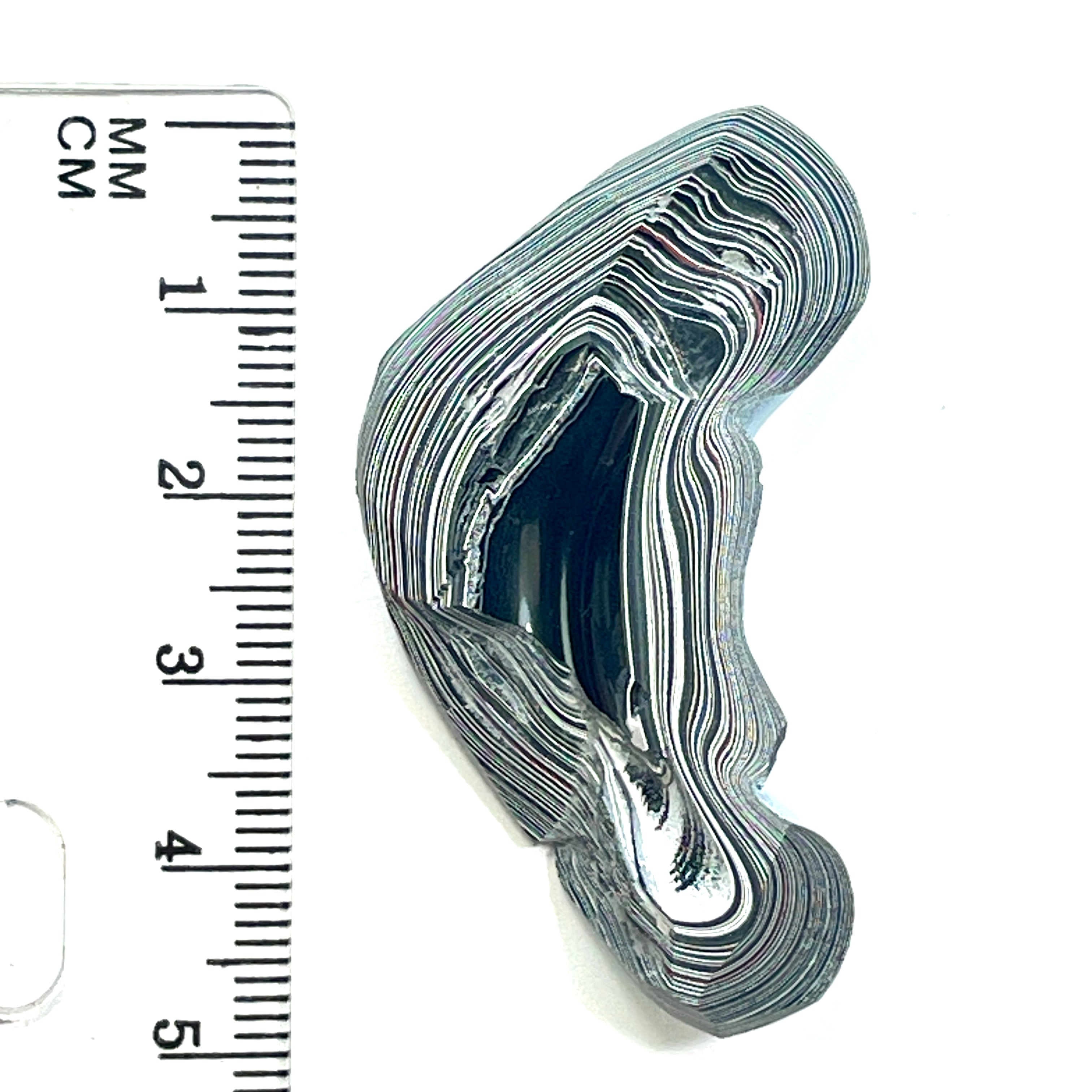 DVH Fordite Specimen Polished Face Michigan Chv Frd Jp (6852)