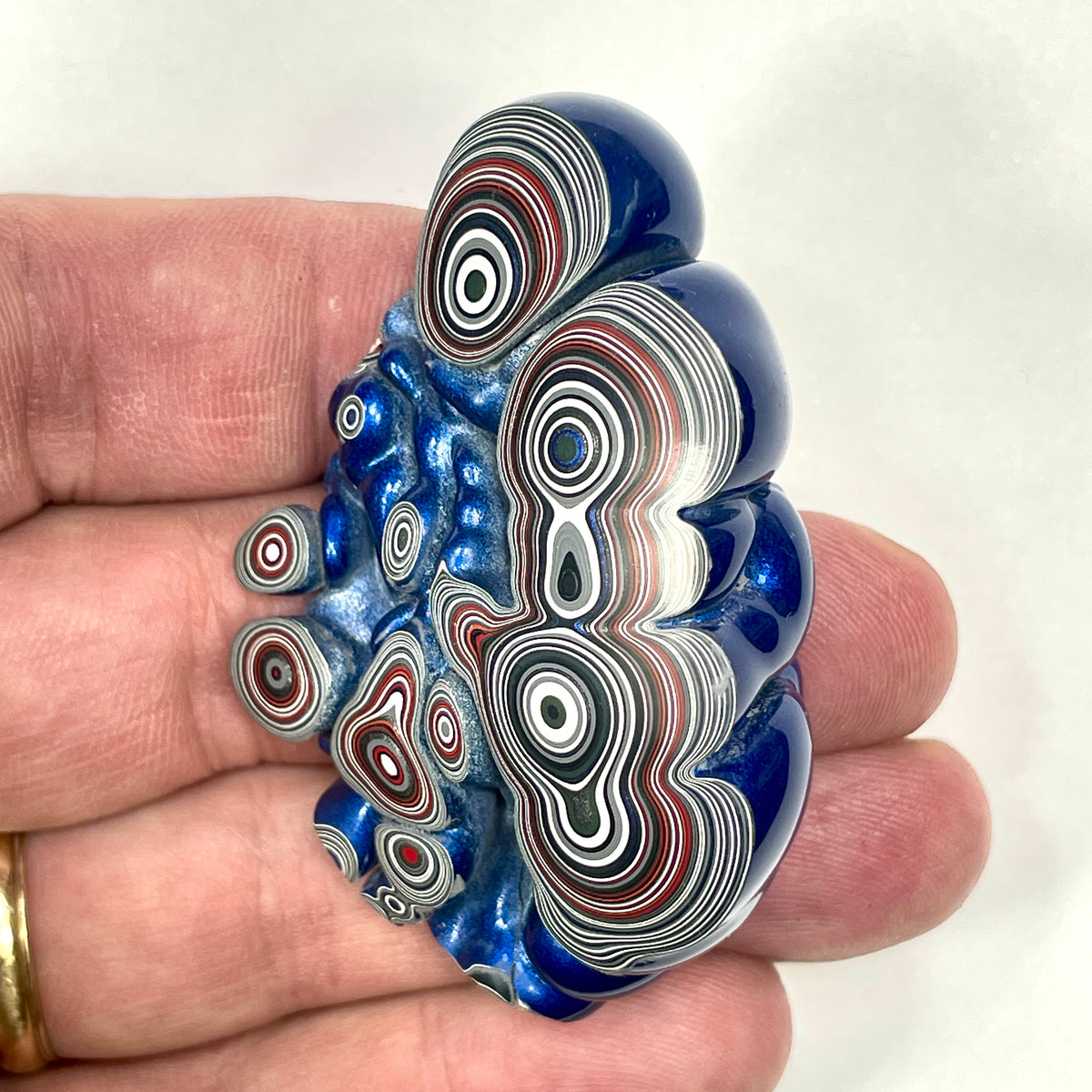 DVH Blue Fordite Specimen Polished Face Michigan Chv Frd Jp (6853)