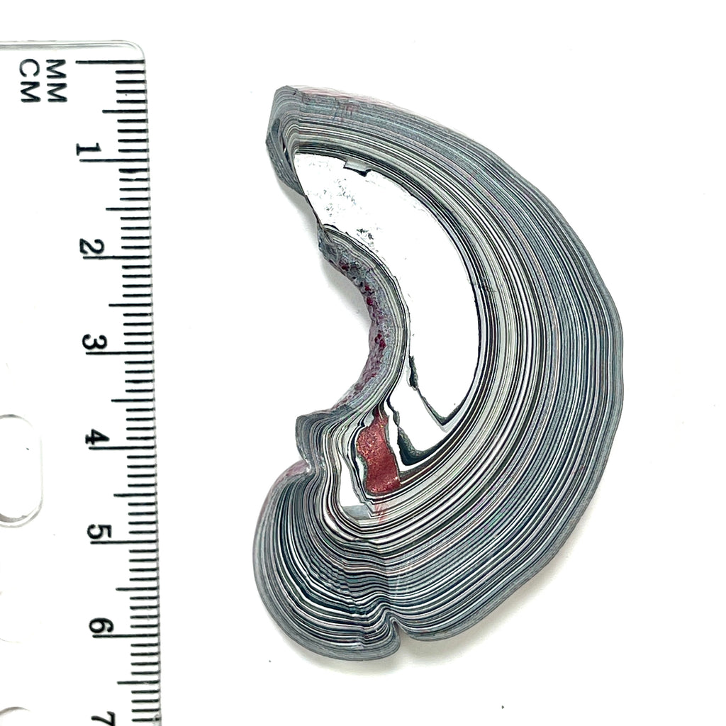 DVH Tuscadero Pink Jp Fordite Specimen Polished Face Michigan (6858)