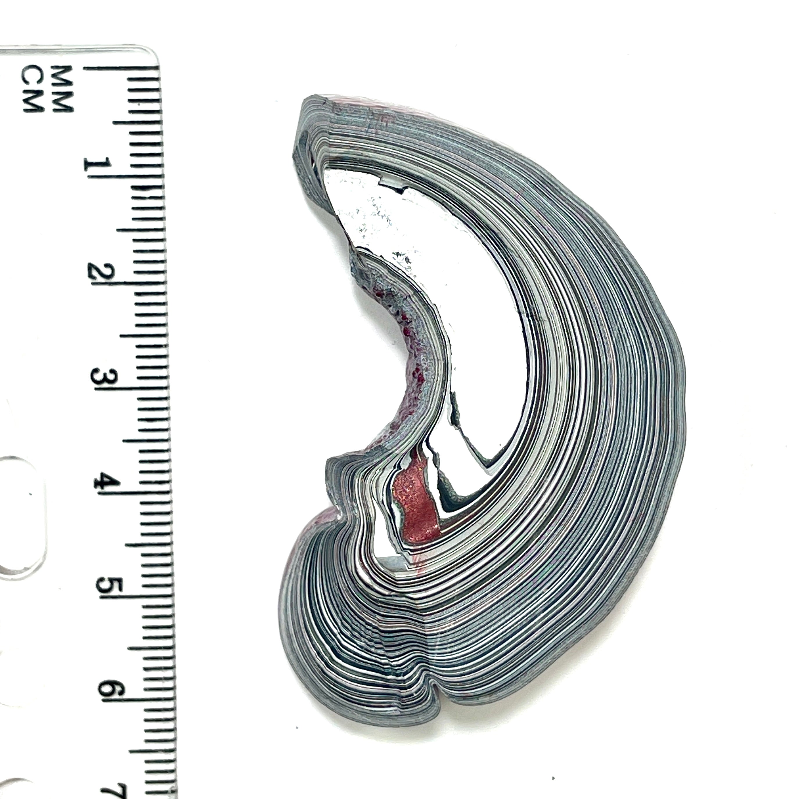 DVH Tuscadero Pink Jp Fordite Specimen Polished Face Michigan (6858)