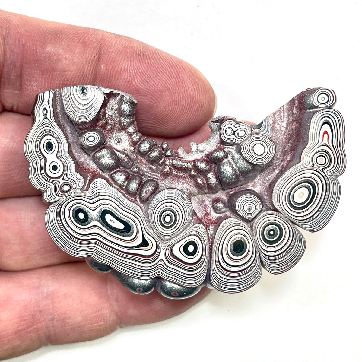 DVH Silver Grey Fordite Specimen Polished Face Michigan Chv Frd Jp (6859)