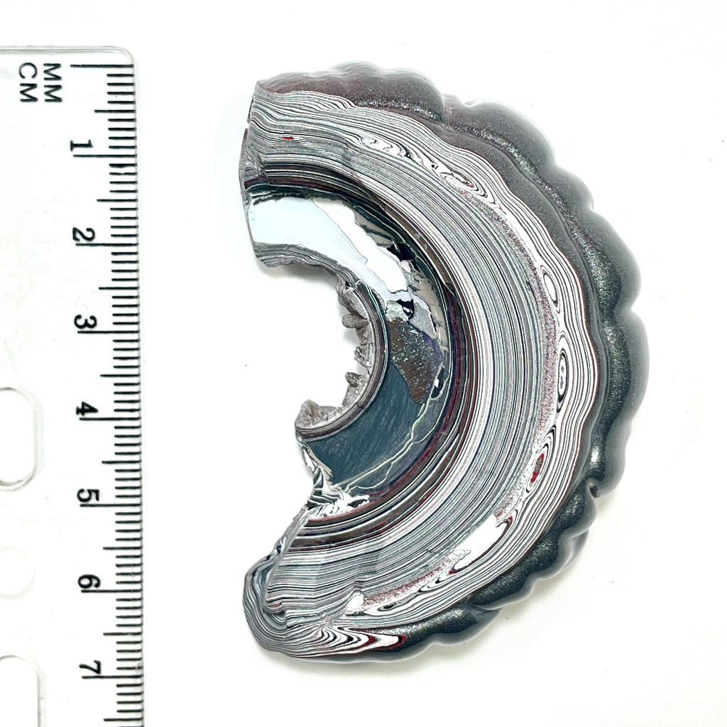 DVH Silver Grey Fordite Specimen Polished Face Michigan Chv Frd Jp (6859)