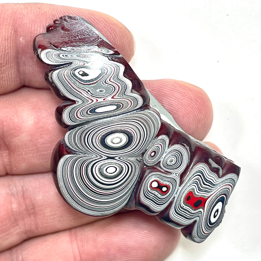 DVH Fordite Specimen Polished Face Michigan Chv Frd Jp (6862)