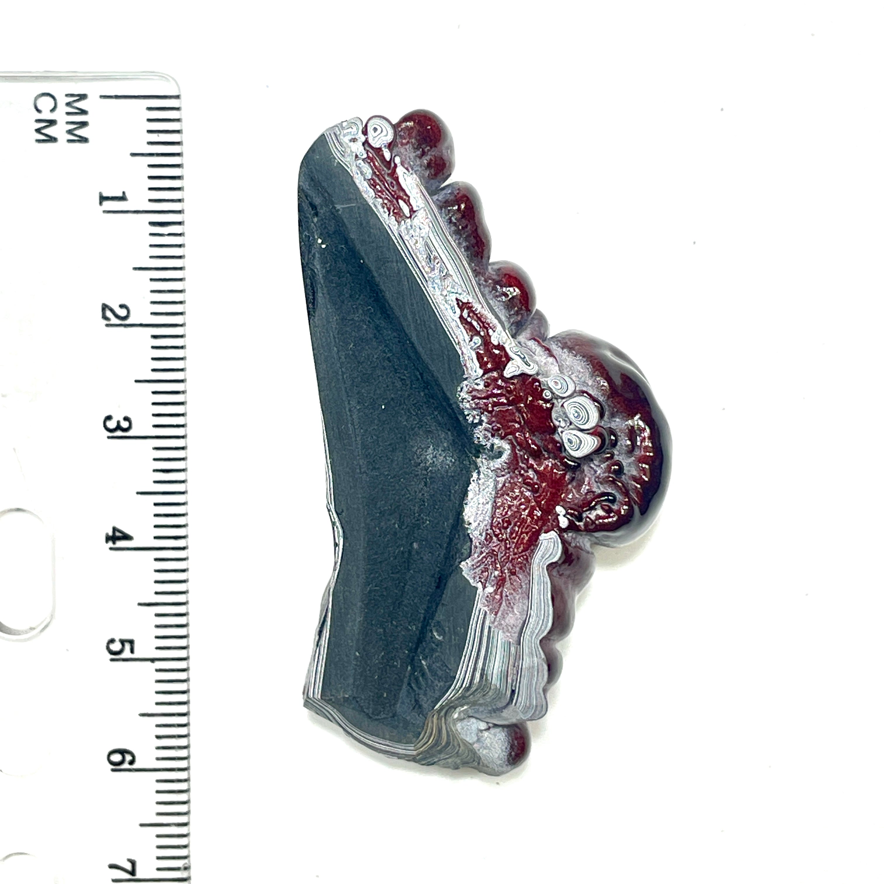 DVH Fordite Specimen Polished Face Michigan Chv Frd Jp (6862)
