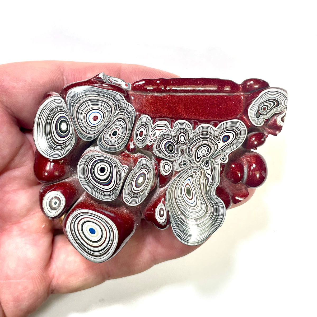 DVH Big Bubbly Burgundy Fordite Specimen Polished Face Michigan Chv Frd Jp (6866)