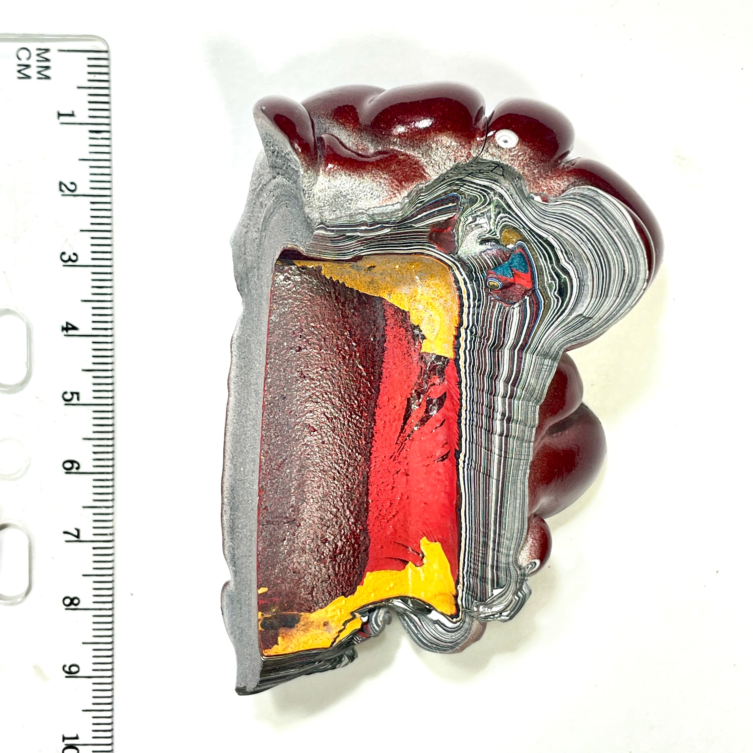 DVH Big Bubbly Burgundy Fordite Specimen Polished Face Michigan Chv Frd Jp (6866)
