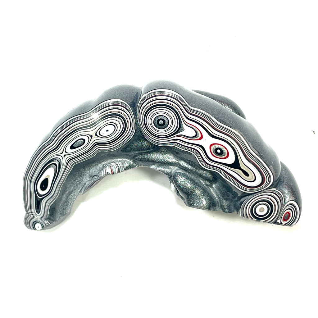 DVH Silver Grey Fordite Specimen Polished Face Michigan Chv Frd Jp (6867)