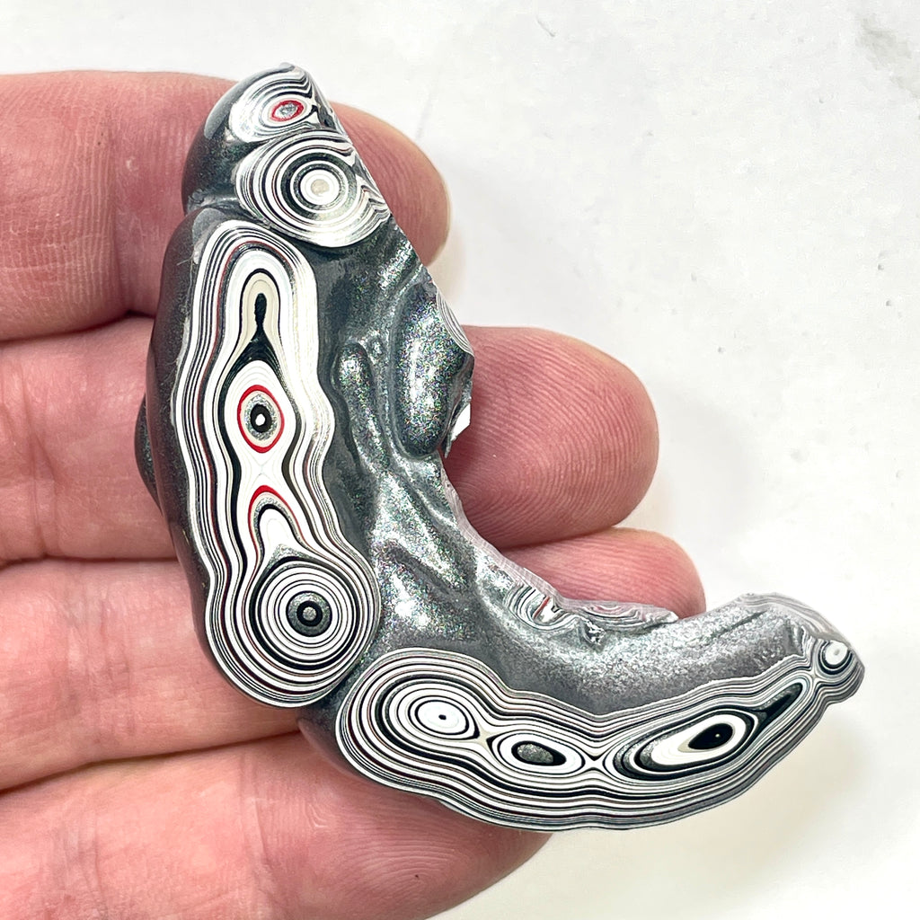 DVH Silver Grey Fordite Specimen Polished Face Michigan Chv Frd Jp (6867)