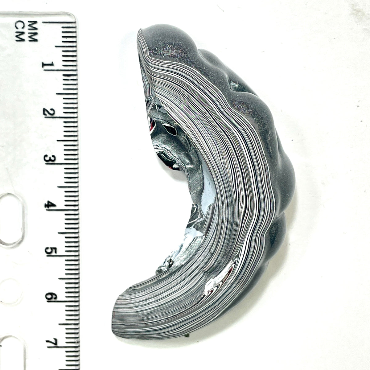 DVH Silver Grey Fordite Specimen Polished Face Michigan Chv Frd Jp (6867)