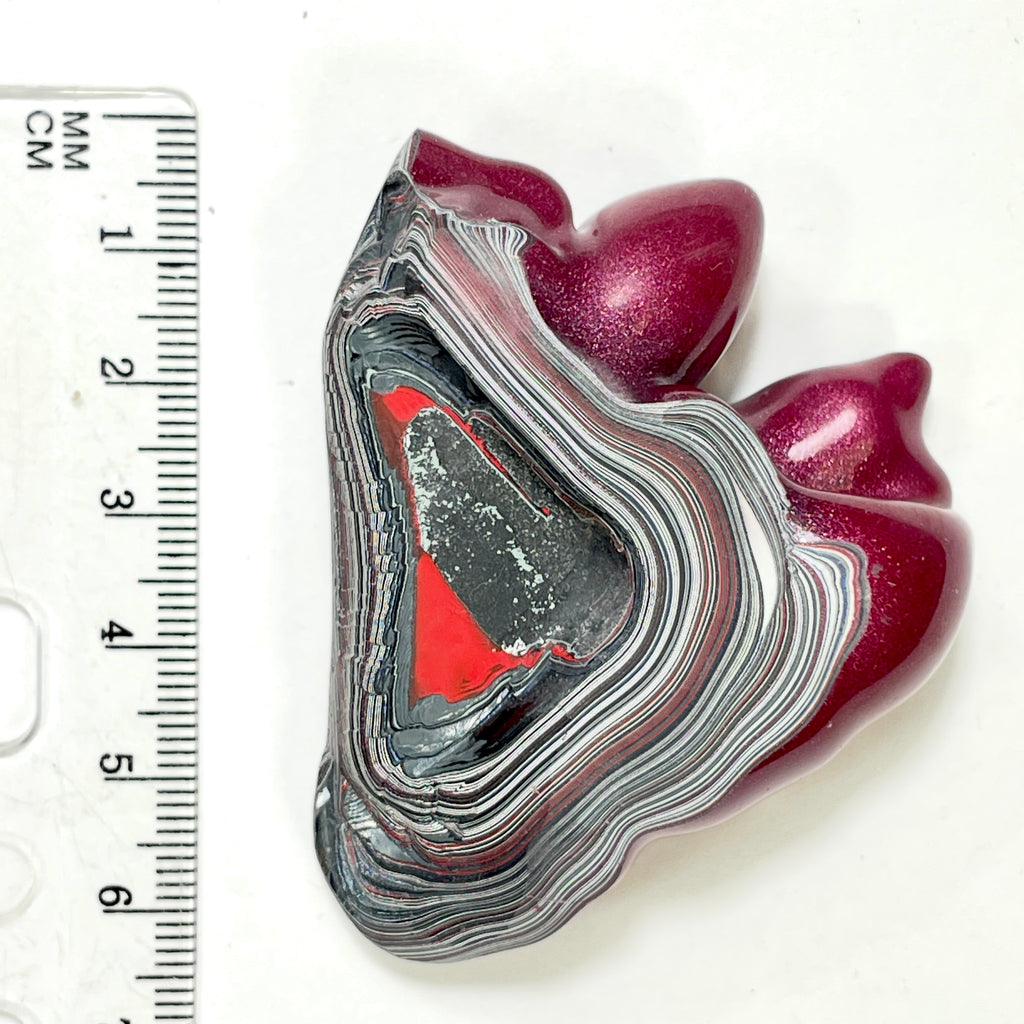 DVH Tuscadero Pink Jp Fordite Rhino Polished Face Specimen (7010)