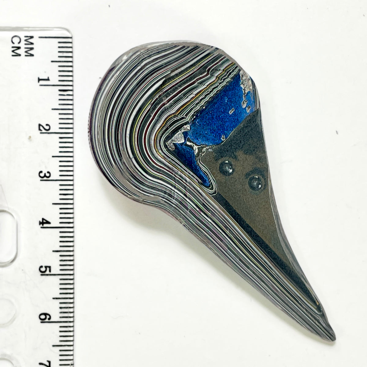 DVH Tuscadero Pink Jp Fordite Flamingo Head Polished Face Specimen (7011)