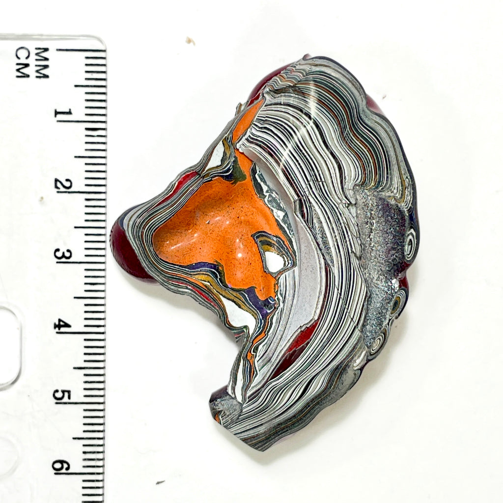 DVH Tuscadero Pink Jp Fordite Polished Face Specimen Michigan (7013)