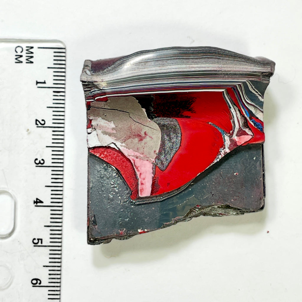 DVH Tuscadero Pink Jp Fordite Polished Face Specimen Michigan (7017)