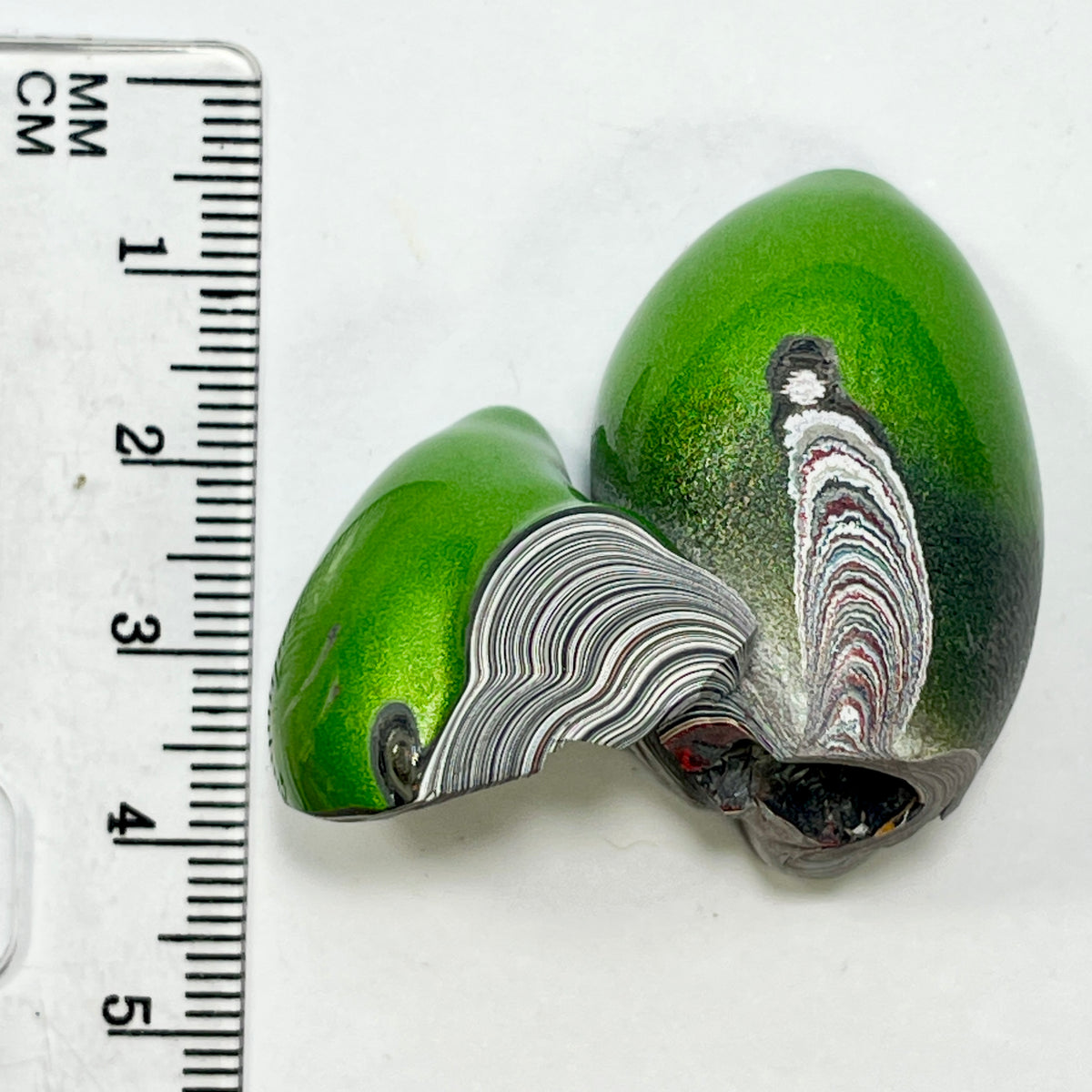 DVH Mojito Green Jp Fordite Polished Face Specimen Michigan (7020)