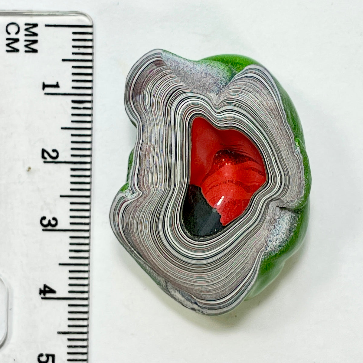 DVH Mojito Green Jp Fordite Polished Face Specimen Michigan (7021)