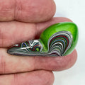 DVH Mojito Green Jp Fordite Snail Polished Face Specimen Michigan (7025)