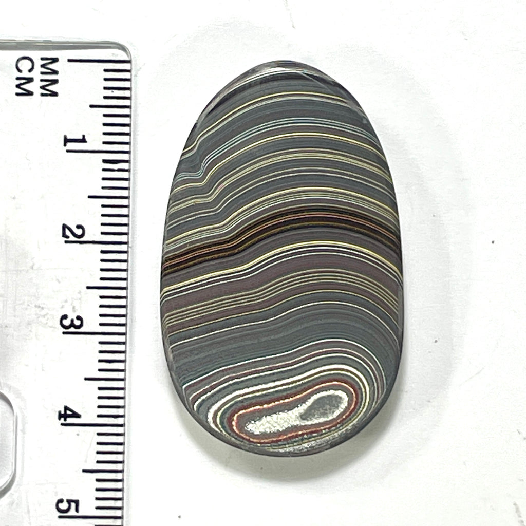 DVH Chatoyant Corvette Fordite Cabochon Bowling Green Ass. 43x26x7mm (6371) - DVHdesigns