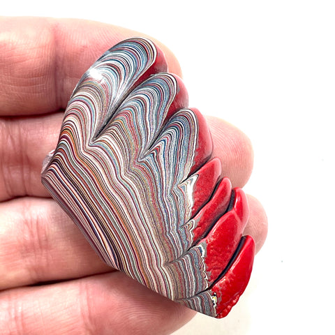 DVH 20g Corvette Fordite Polished Face Specimen Bowling Green KY Ass. (6545)