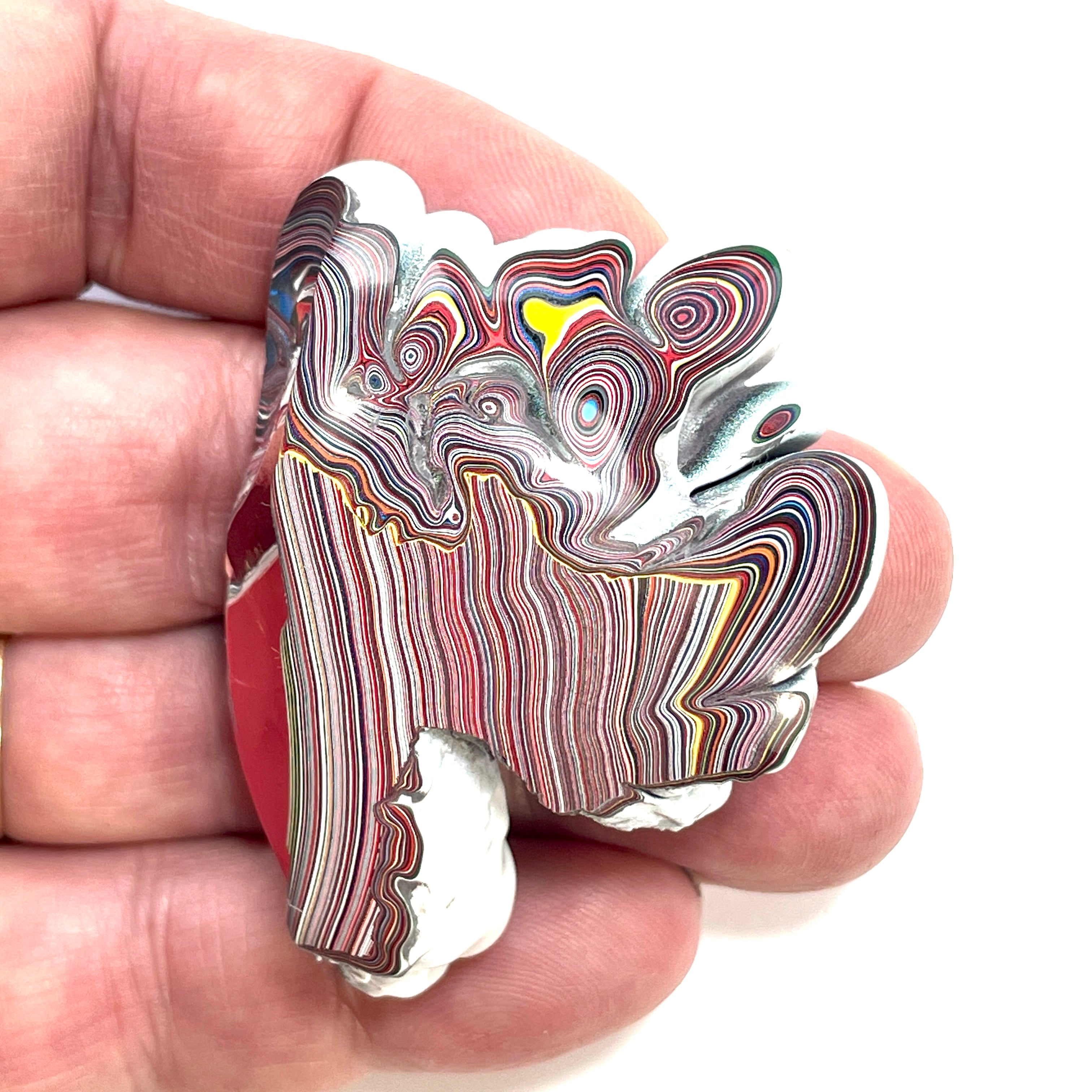 DVH 31g Corvette Fordite Polished Face Specimen Bowling Green KY Ass. (6547) - DVHdesigns
