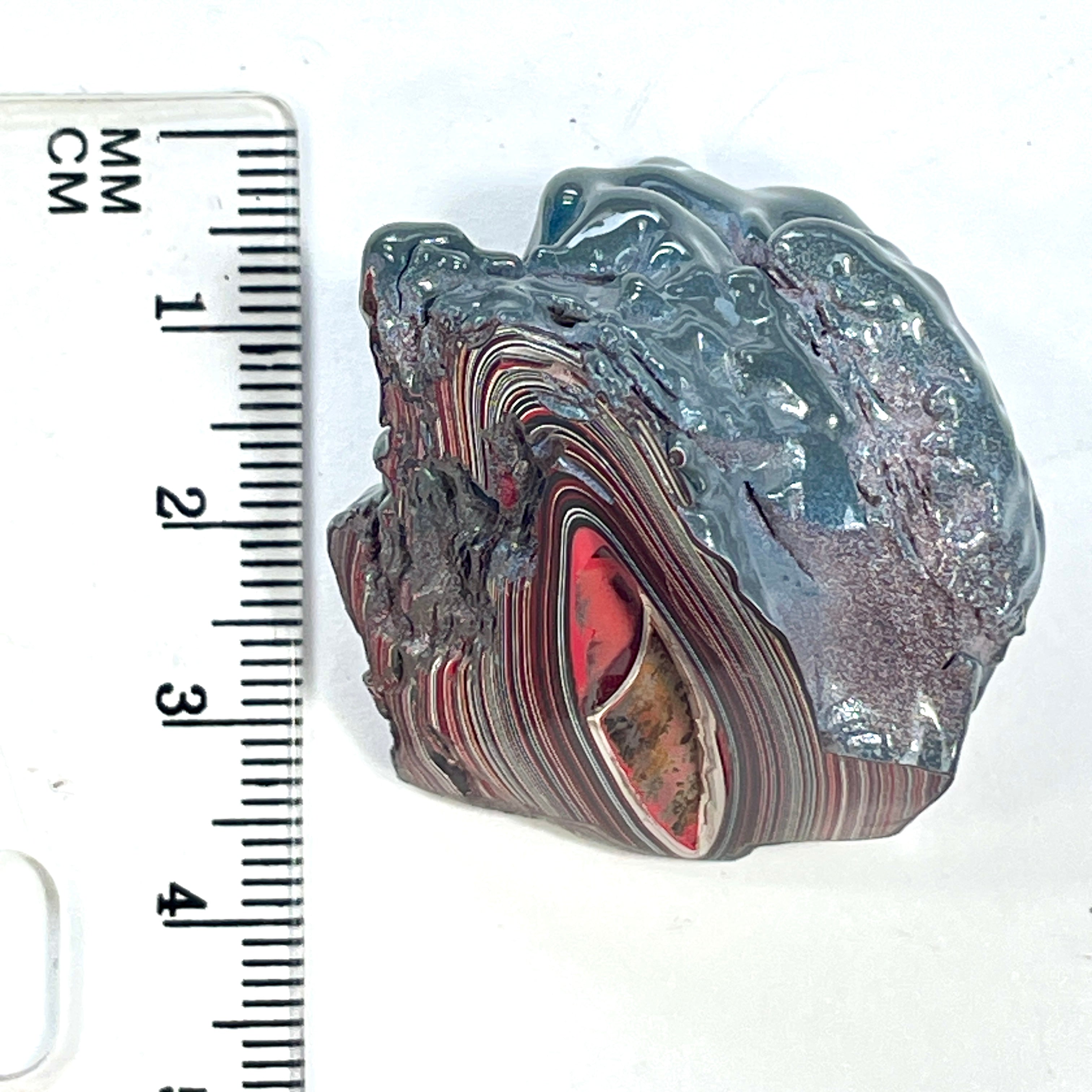 DVH 16g Corvette Fordite Polished Face Specimen Bowling Green KY Ass. (6549) - DVHdesigns