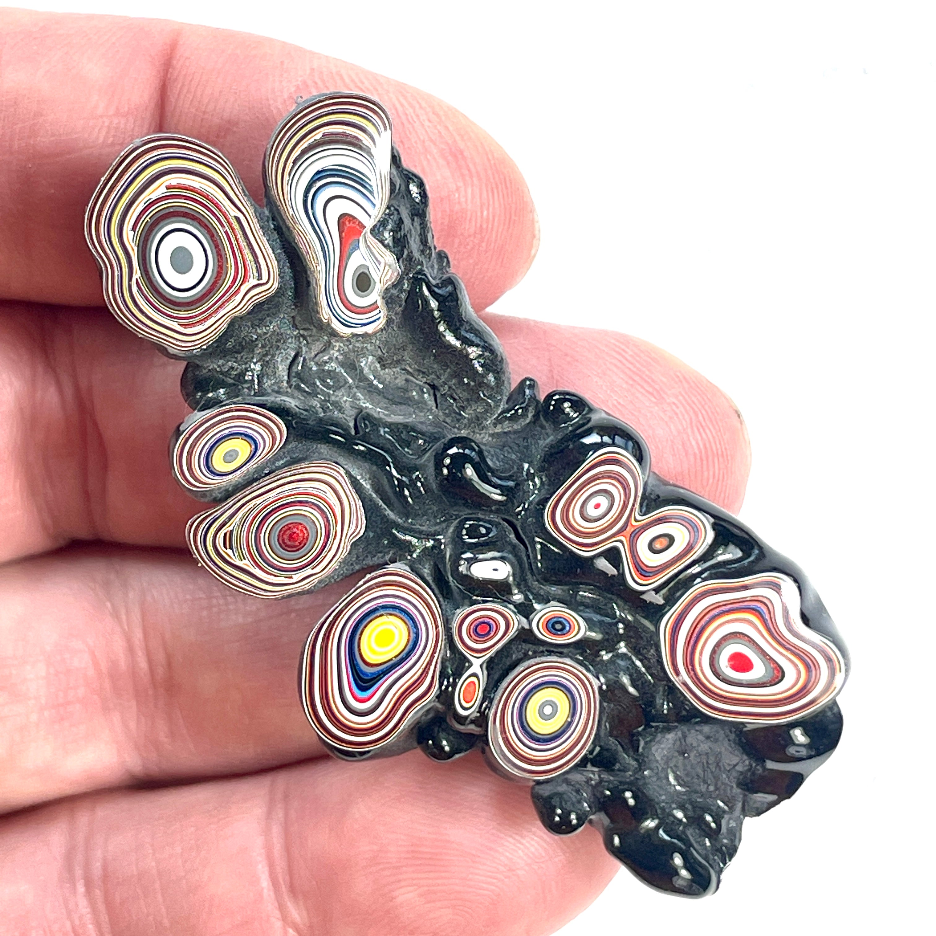 DVH 15g Corvette Fordite Polished Face Specimen Bowling Green KY Ass. (6550) - DVHdesigns